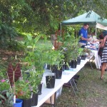 Plant Stall Permaculture Expo