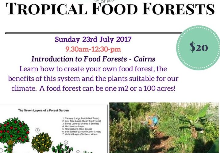Tropical Food Forests – 23rd of July 2017