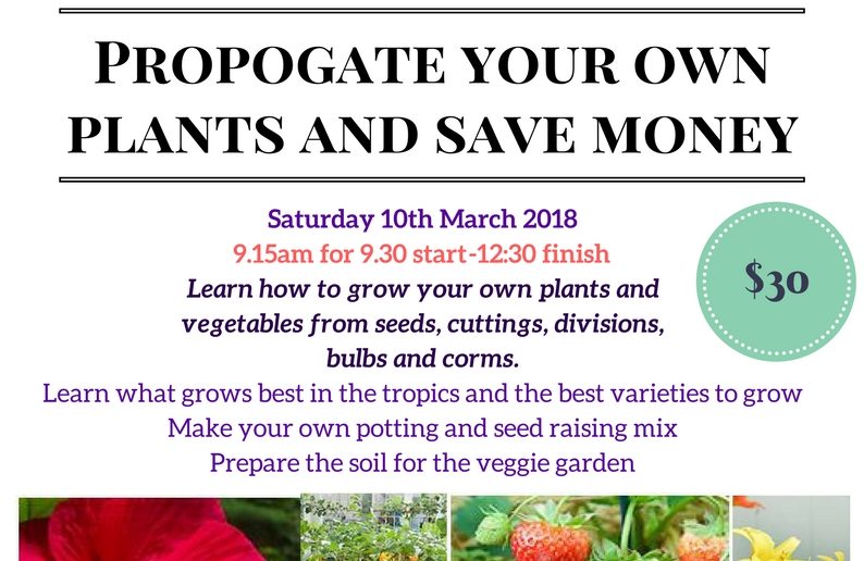 Propogate your own plants and save money – 10th March 2018