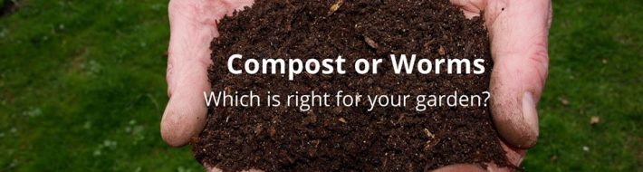 Compost or Worms?