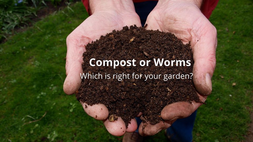 Compost or Worm Farms? Workshop