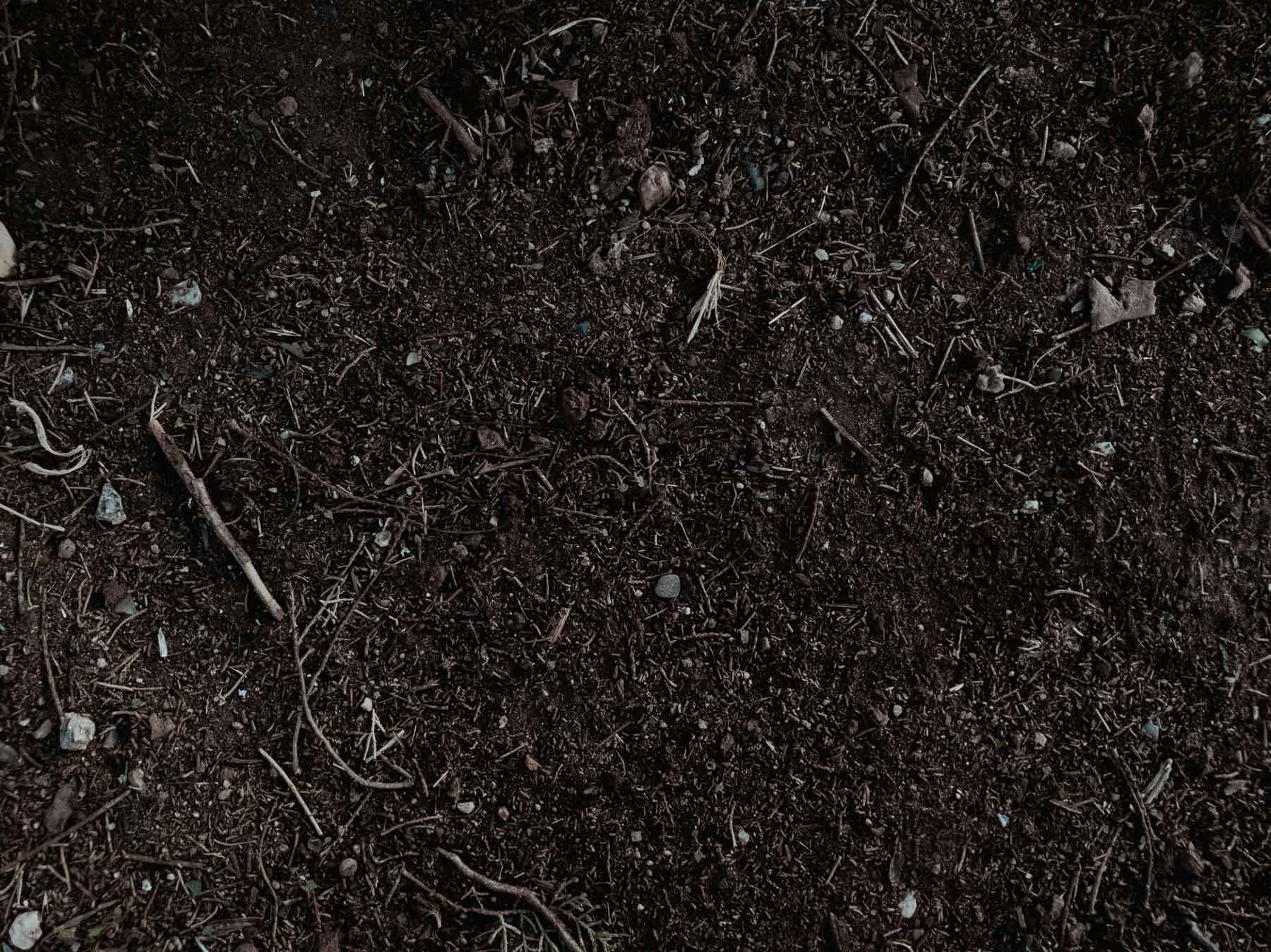 Black Earth Compost Workshop