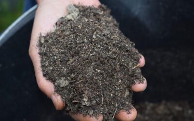 Bokashi Compost